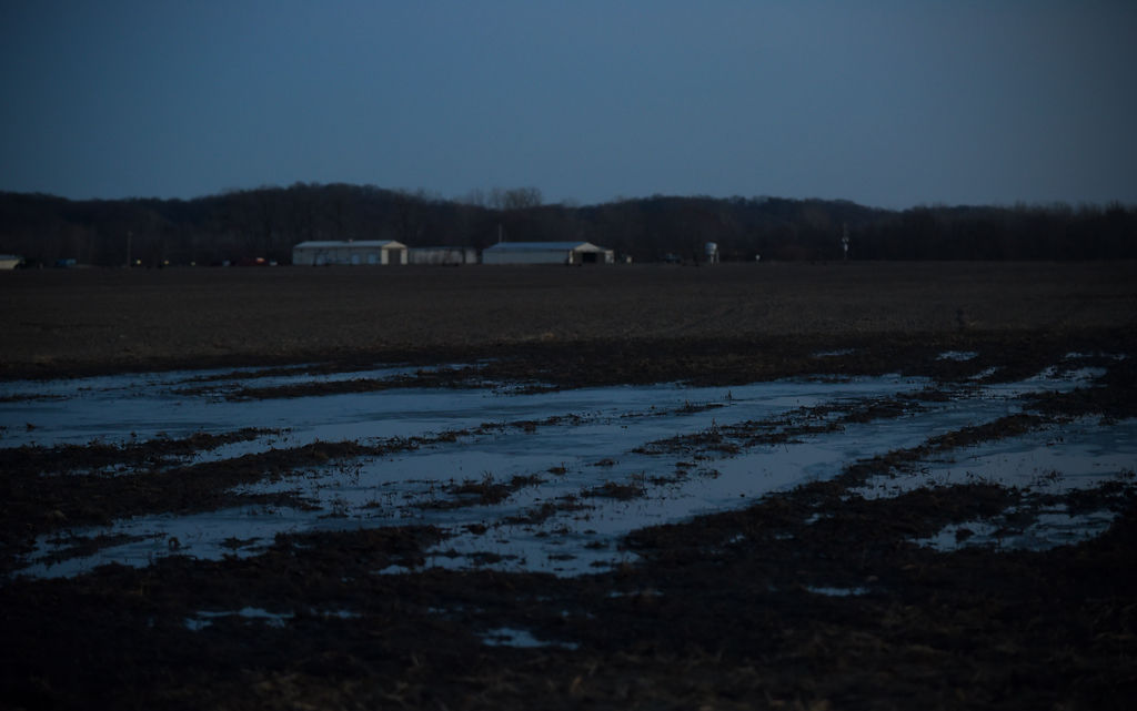 Shallow flooding sits on Williamson's land